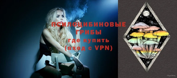 герыч Мегион