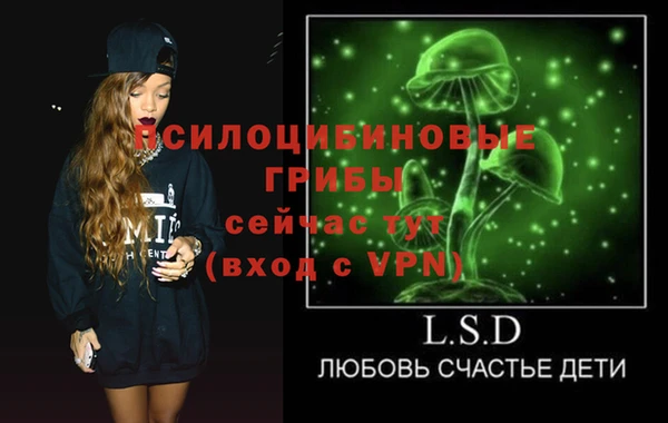 эйфоретик Аша