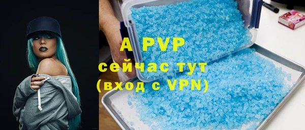 прущие грибы Волосово