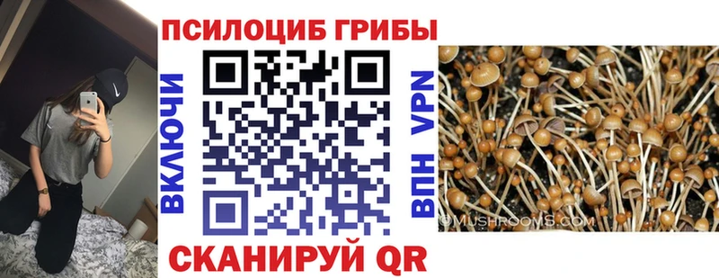 Галлюциногенные грибы мухоморы  Вичуга 