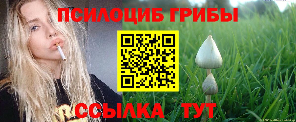 ГАШ  Кокаин  МЕФ   APVP СК   Вичуга  МЕФ   Героин 