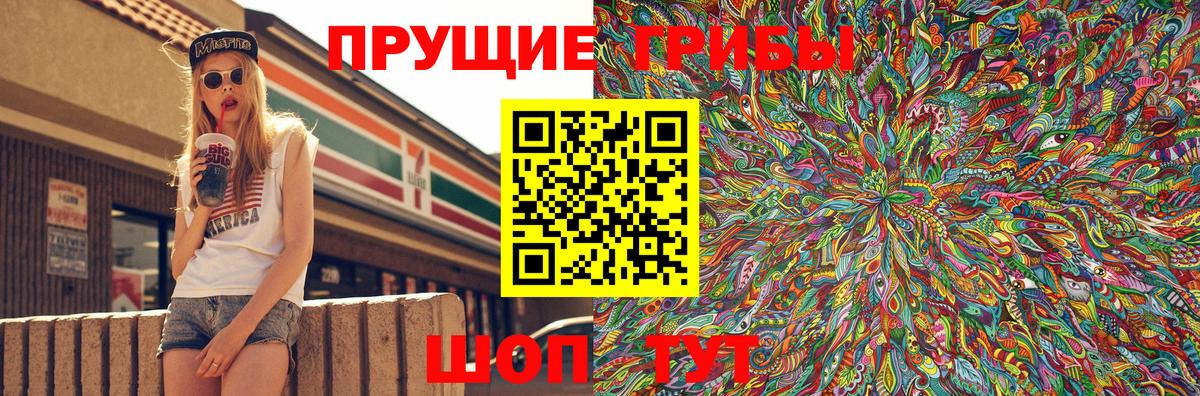 наркошоп  Вичуга  Псилоцибиновые грибы Magic Shrooms 