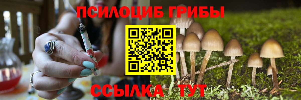 Псилоцибиновые грибы Psilocybine cubensis  Вход с VPN  Вичуга 